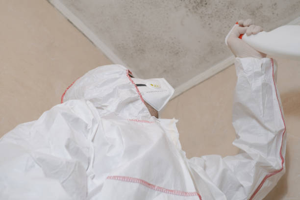 Best Professional Mold Removal  in Woodbury, TN