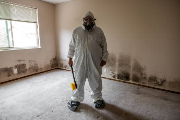 Best Home Mold Removal  in Woodbury, TN