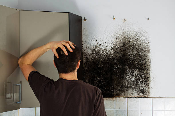 Mold Testing and Removal in Woodbury, TN